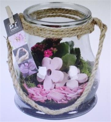 <h4>1452 ROZE GLAASJE TOUW</h4>