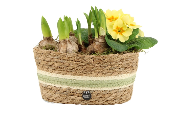 <h4>11696: Outdoor spring arrangement</h4>