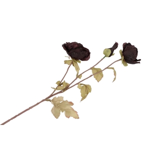 Silk Poppy 3x Tak Black 96cm Nm