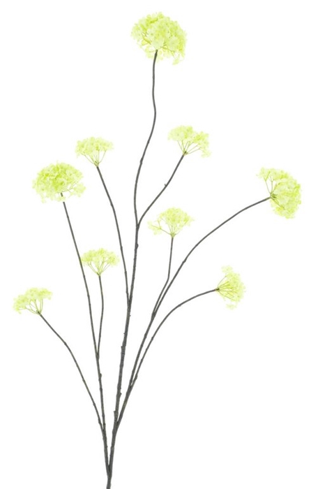 <h4>Viburnum opulus 'Roseum' branch 126</h4>