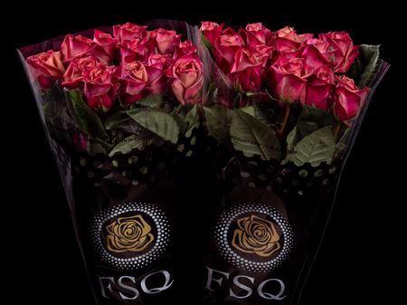 <h4>R Gr Purple Barista</h4>