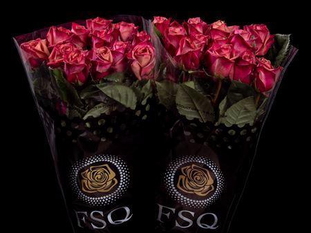 <h4>R Gr Purple Barista</h4>