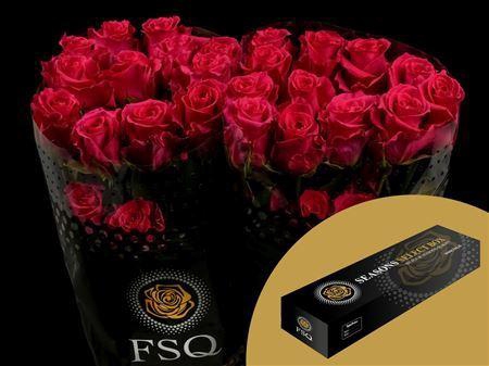 <h4>R Gr Gotcha Box</h4>