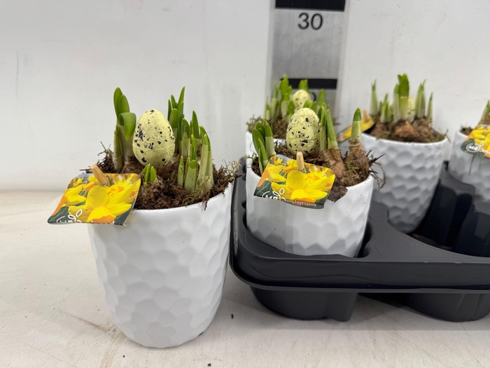 arr8 Arr N Tete A Tete In Wit Keramiek