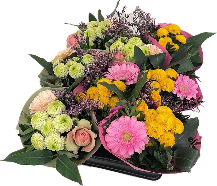 <h4>Bq 8-pack Spring</h4>