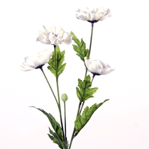 AF Anemone x4 L71cm white