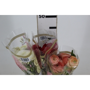 RANUNCULUS VARIADA