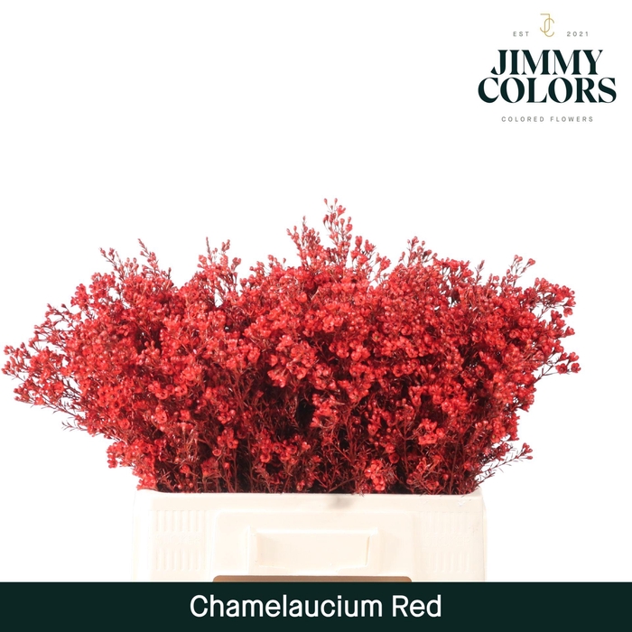 <h4>Waxflower L60 Red</h4>
