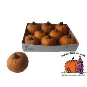 <h4>CUC HALLOWEEN</h4>