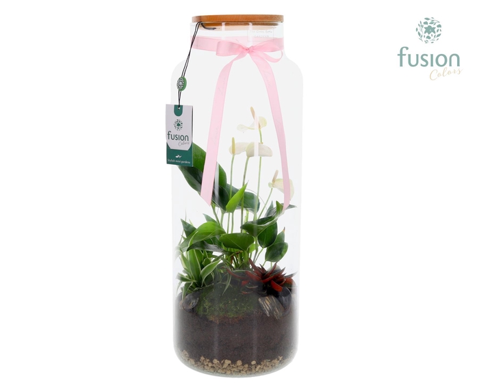 <h4>Vaas glas met Anthurium arrangement</h4>