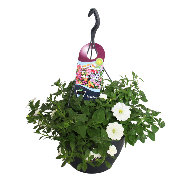 <h4>Hangpotten 27 waterreservoir mix 04 Witte mix</h4>