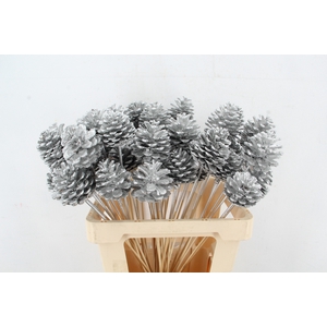 Stick Pine Cone Silver