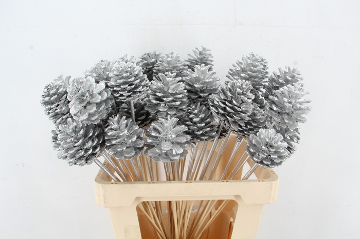 <h4>Stick Pine Cone Silver</h4>