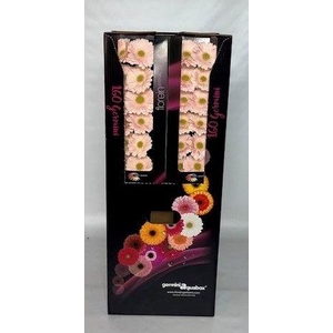 GE MI Alix-noor Aquabox - diamond (8 x 15)