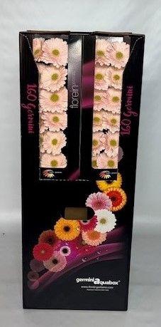 <h4>GE MI Alix-noor Aquabox *160</h4>