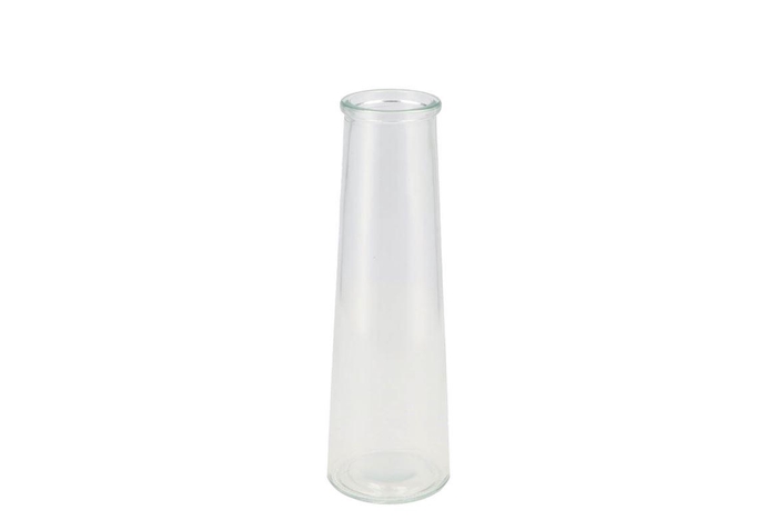 <h4>Glass Bottle Clear 8x25cm</h4>