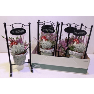 Arr Tuinplanten Metal Frame Wilg Basket