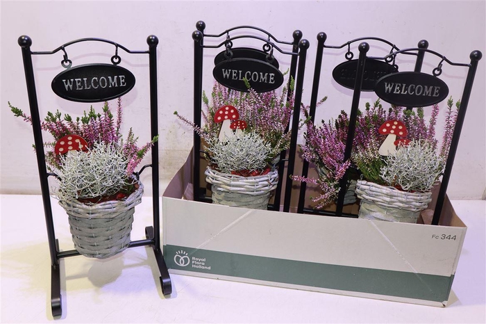 <h4>Arr Tuinplanten Metal Frame Wilg Basket</h4>