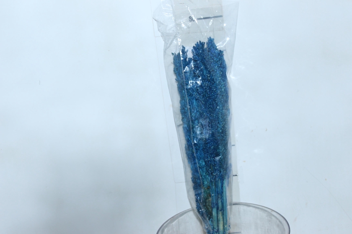 <h4>PLANTA SECA SORGO AZUL 60CM</h4>