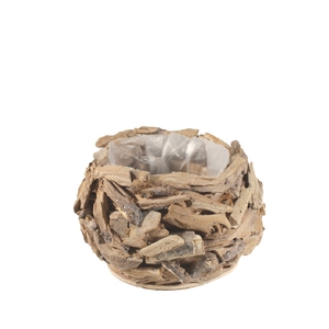 Wood Planter driftwood d20*14cm