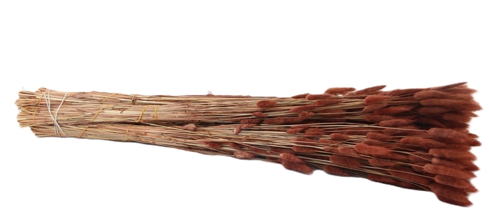 <h4>DROOGBL BEWERKT H%</h4>