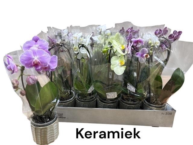 <h4>ARR PHAL 1 TAK</h4>