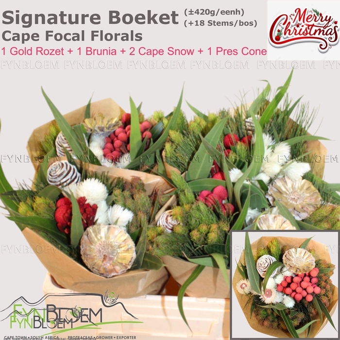 <h4>KAAPS GROE GEM IN BS</h4>