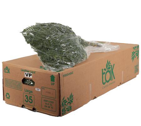 <h4>LEDERVAREN EXTRA VACUUM TAK GROEN</h4>