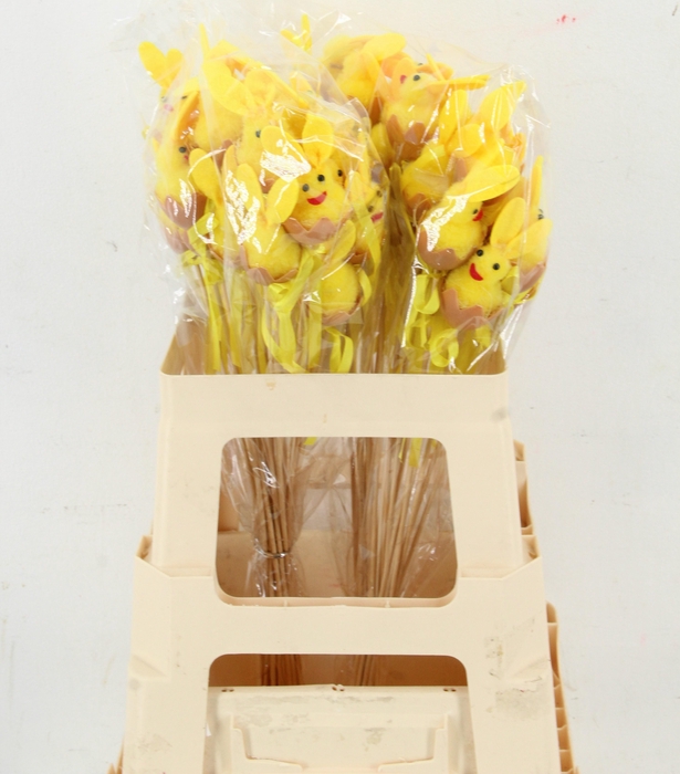 <h4>HUIS EN TUINDECO H%</h4>