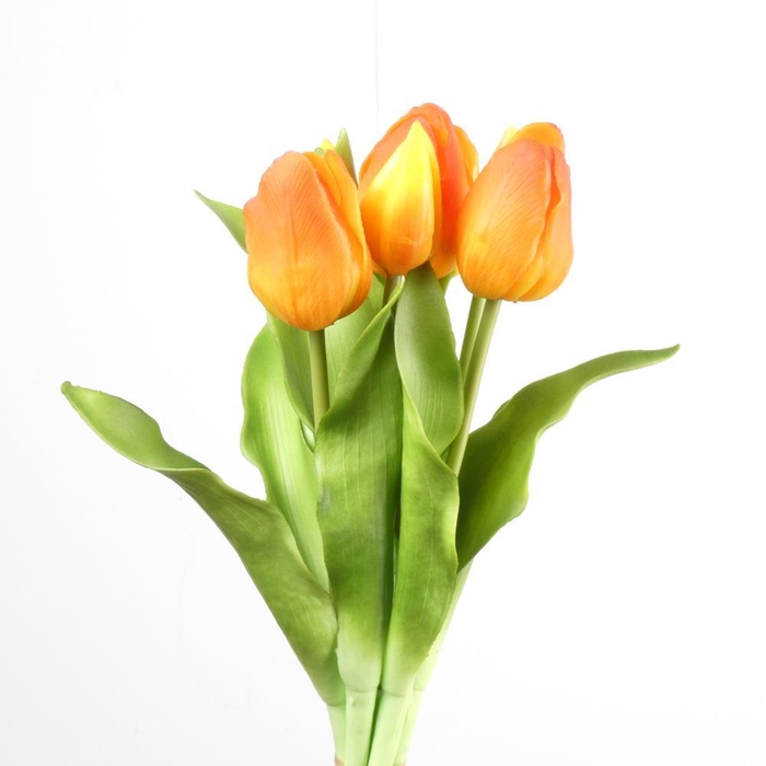 <h4>AF Tulip Bundle x7 L31cm Orang</h4>