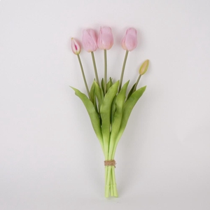 AF Tulip bundle x5 L45cm  pink