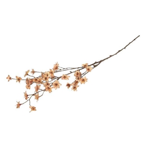 Branch Blossom Almonde L111