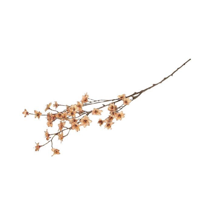 <h4>Branch Blossom Almonde L111</h4>