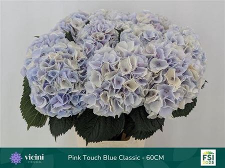 <h4>Hydr M My Pinkt Cl B</h4>