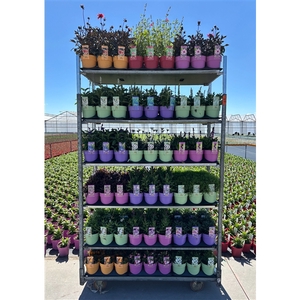 Bee Friendly Mixkar