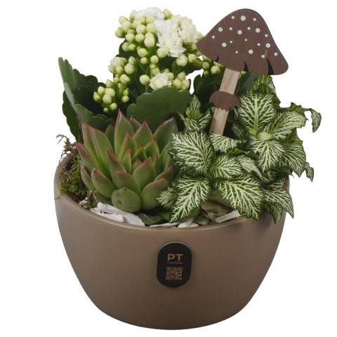 <h4>PTHI3246 Arrangement Autumn Indoor in keramiek schaal</h4>