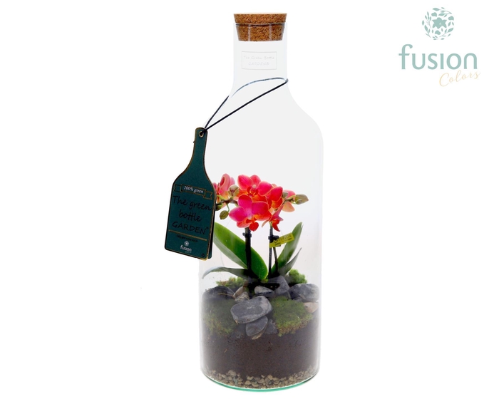 <h4>Green Bottle Fles Medium met Phalaenopsis</h4>