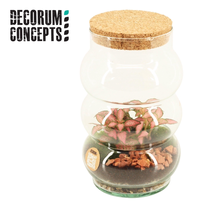 <h4>Terrarium Pluto small (Decorum concepts)</h4>