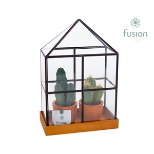 Glas Huisje met metaal Large met Cactussen