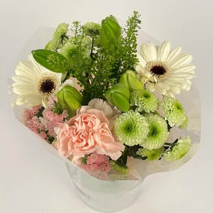 Bq Volume Voltage Salmon S