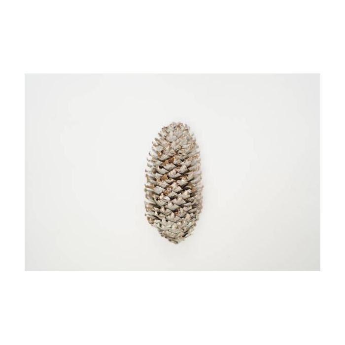 <h4>Pinecone Spruce 5kg</h4>