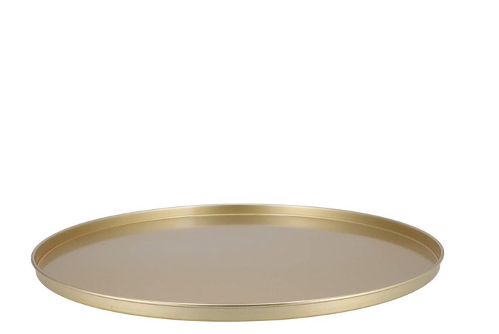 <h4>Coaster Majestic Gold Tray Metal 56x2cm</h4>