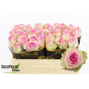 R Gr Brigitte Bardot