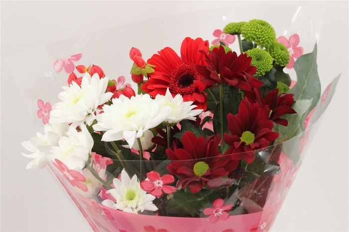 <h4>Boeket 5-7 Tak Rood</h4>