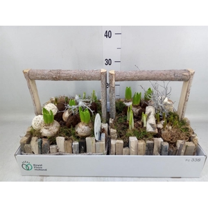 Arr.   Bol/Knolgewas L%