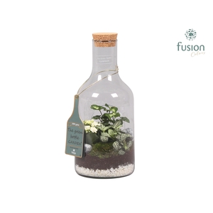 Green Bottle Fles Small met Arrangement