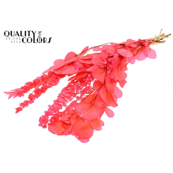 <h4>Eucalyptus Mix Preserved Bleached Cerise</h4>