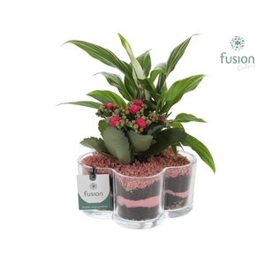 Glazen Bloemschaalmet arrangement