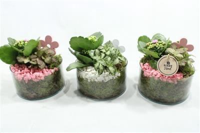 4894 15X15 CILINDER RO/WIT