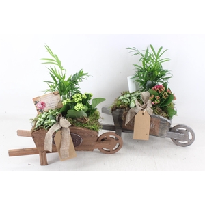 arr2 TD - Houten kruiwagen - wit/roze